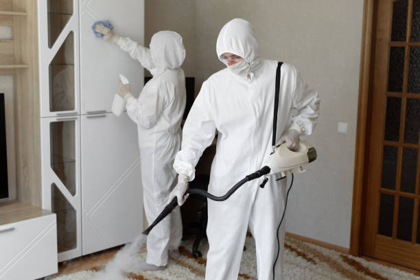 Mold Testing and Removal in Kurtistown, HI