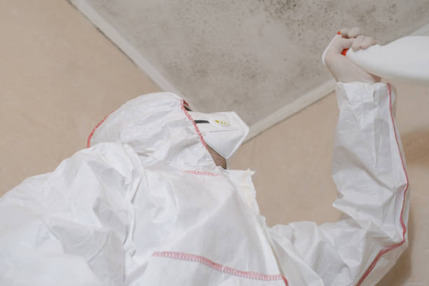 Best Commercial Mold Removal  in Kurtistown, HI