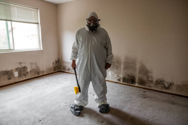 Best Crawl Space Mold Removal  in Kurtistown, HI